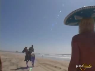 Enchanting пума бруква в mexico на a кінь