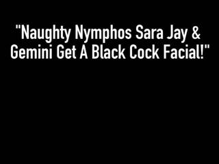 Naughty Nymphos Sara Jay & Gemini Get A Black pecker Facial!