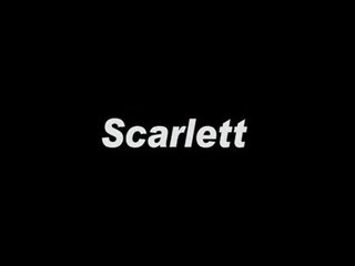 Scarlett calze a rete brick muro